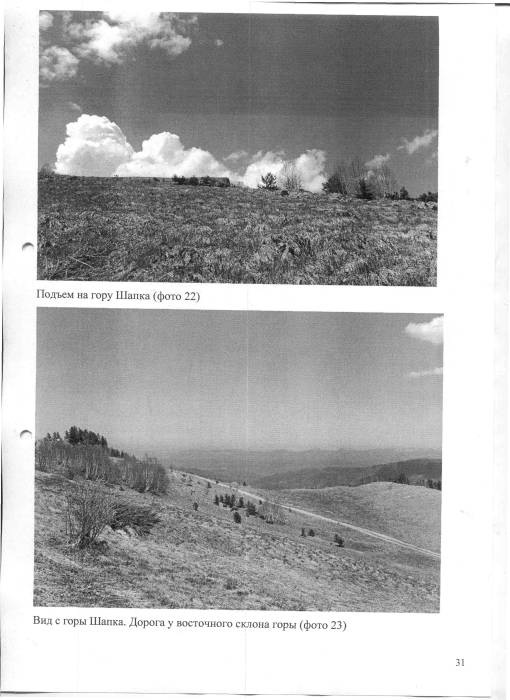 8420-031.jpg 8420-031.jpg